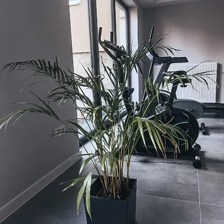 Gospodarstwo agroturystyczne U Maryli *