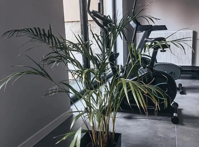 农家乐 U Maryli *